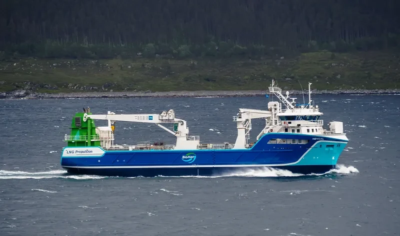 HOYDAL General Cargo IMO 9596791 photo 3