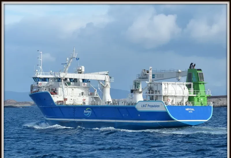 HOYDAL General Cargo IMO 9596791 photo 5