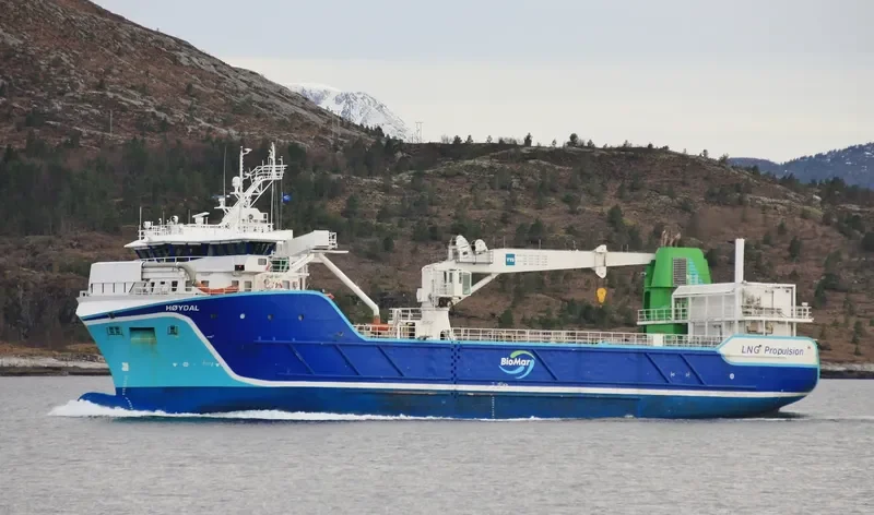 HOYDAL General Cargo IMO 9596791 photo 6