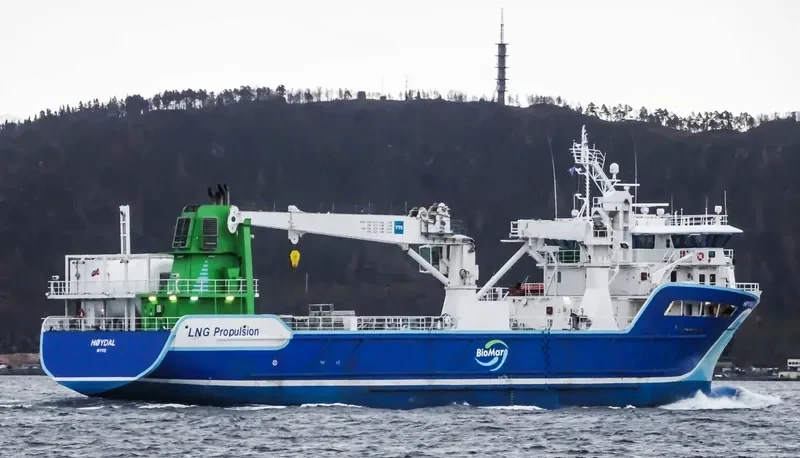 HOYDAL General Cargo IMO 9596791 photo 8