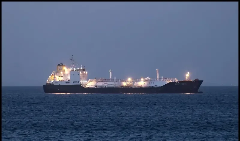DARCY RIBEIRO General Cargo IMO 9596832