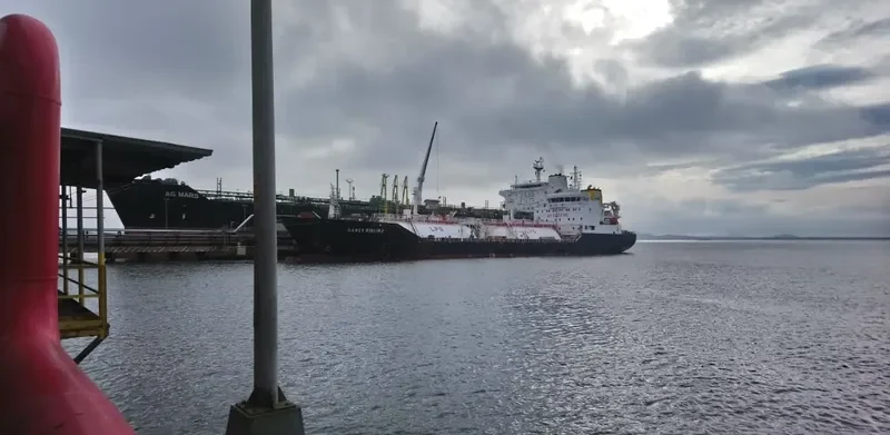 DARCY RIBEIRO General Cargo IMO 9596832 photo 3