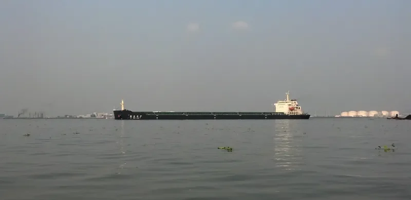 XIN DONG GUAN 7 Bulk Carrier IMO 9597056