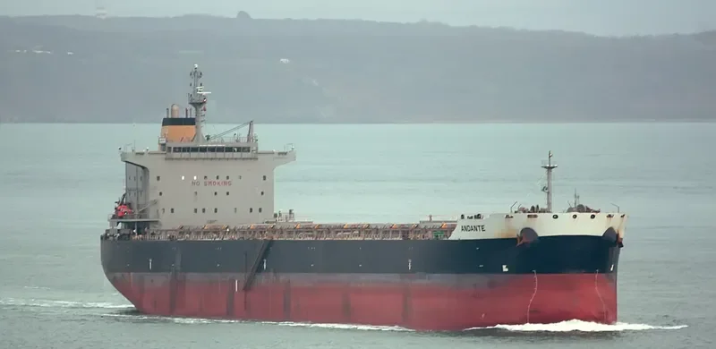 TROMBETAS Bulk Carrier IMO 9597094 photo 3