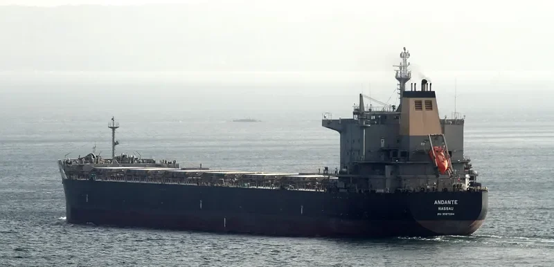 TROMBETAS Bulk Carrier IMO 9597094 photo 4