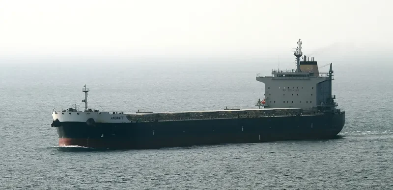 TROMBETAS Bulk Carrier IMO 9597094 photo 5