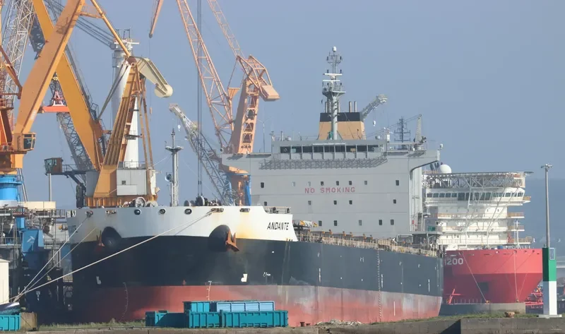 TROMBETAS Bulk Carrier IMO 9597094 photo 6