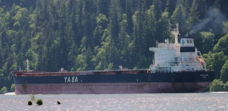 YASA FALCON Bulk Carrier IMO 9597123
