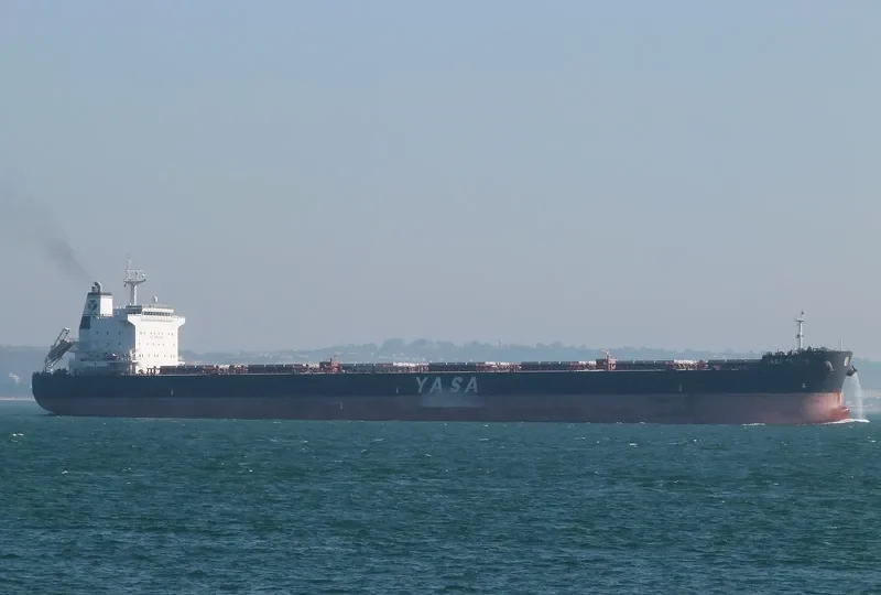 YASA FALCON Bulk Carrier IMO 9597123 photo 4