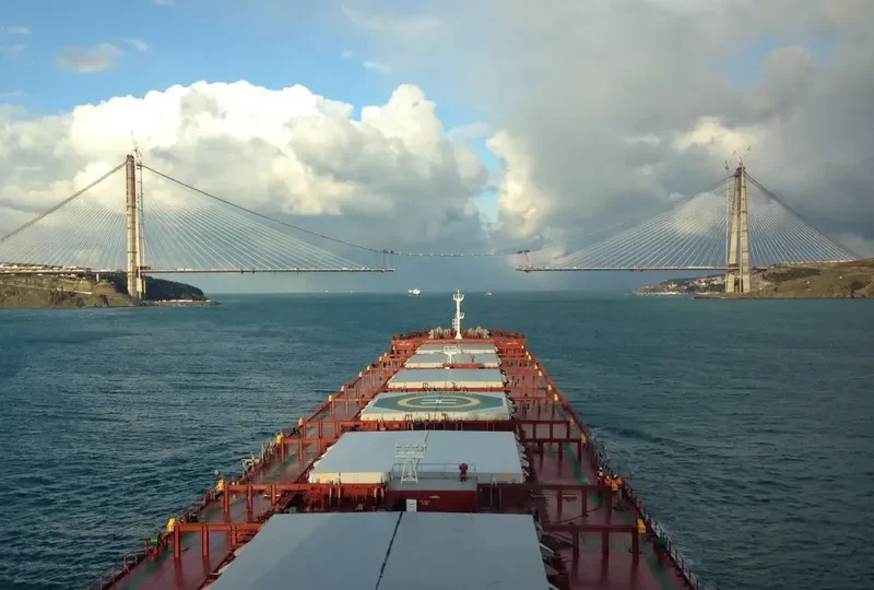YASA FALCON Bulk Carrier IMO 9597123 photo 6