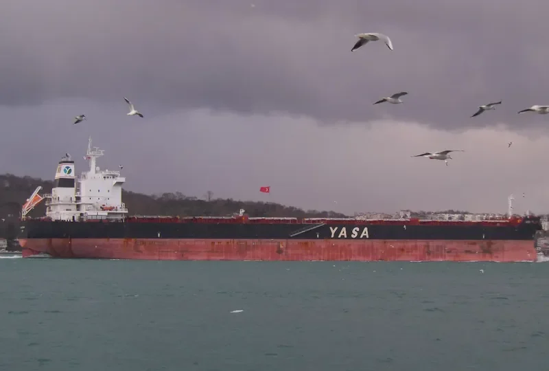 YASA FALCON Bulk Carrier IMO 9597123 photo 7