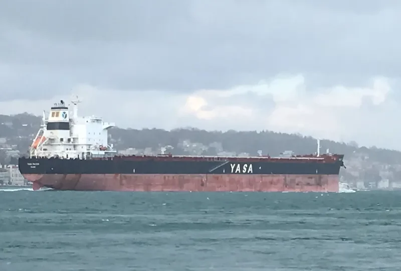 YASA FALCON Bulk Carrier IMO 9597123 photo 8