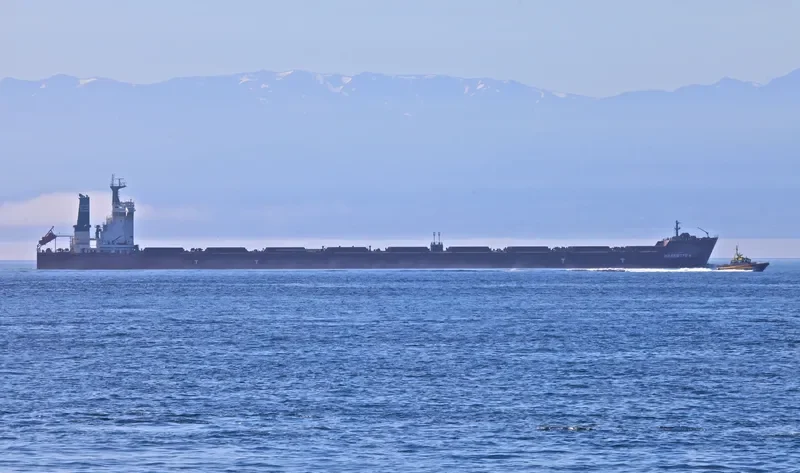 ZJE OCEAN 1 Bulk Carrier IMO 9597197 photo 2