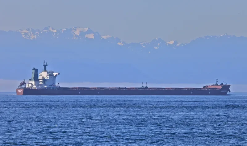 ZJE OCEAN 1 Bulk Carrier IMO 9597197 photo 3