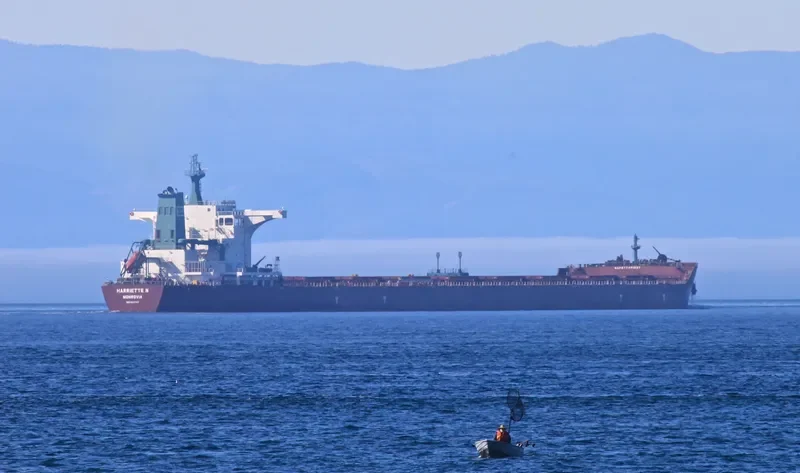 ZJE OCEAN 1 Bulk Carrier IMO 9597197 photo 4