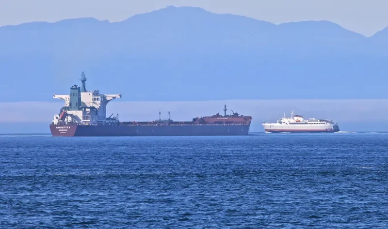 ZJE OCEAN 1 Bulk Carrier IMO 9597197 photo 5