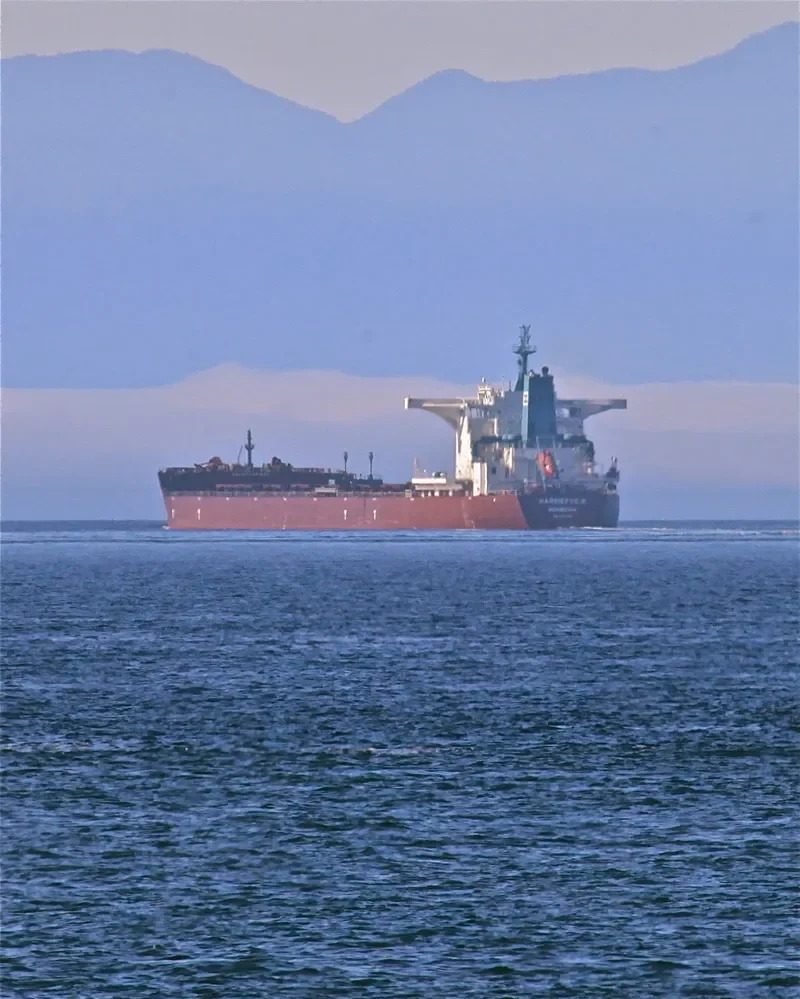 ZJE OCEAN 1 Bulk Carrier IMO 9597197 photo 7