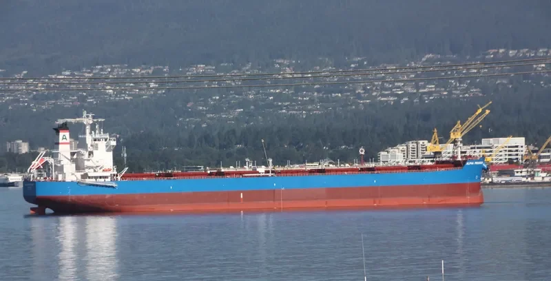 ALPHA PROGRESS Bulk Carrier IMO 9597214 photo 9