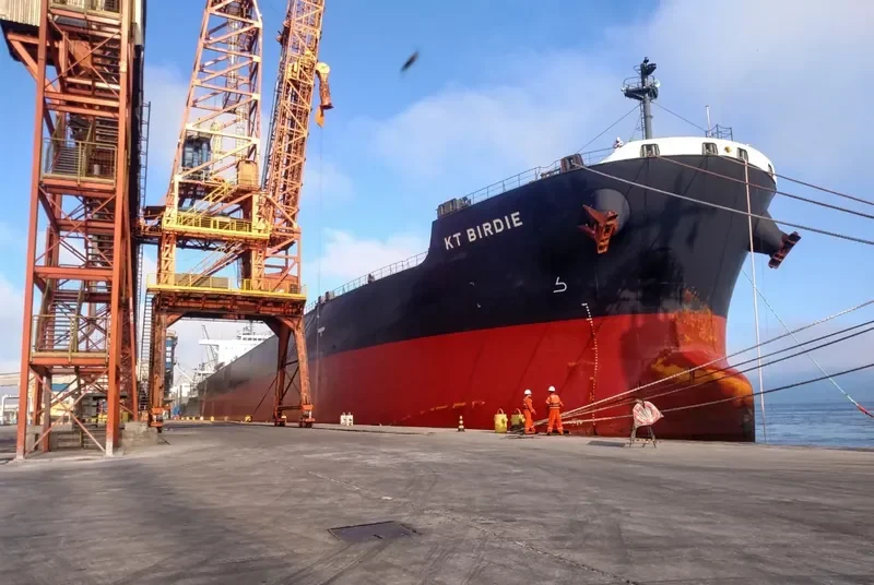 KT BIRDIE Bulk Carrier IMO 9597343 photo 3