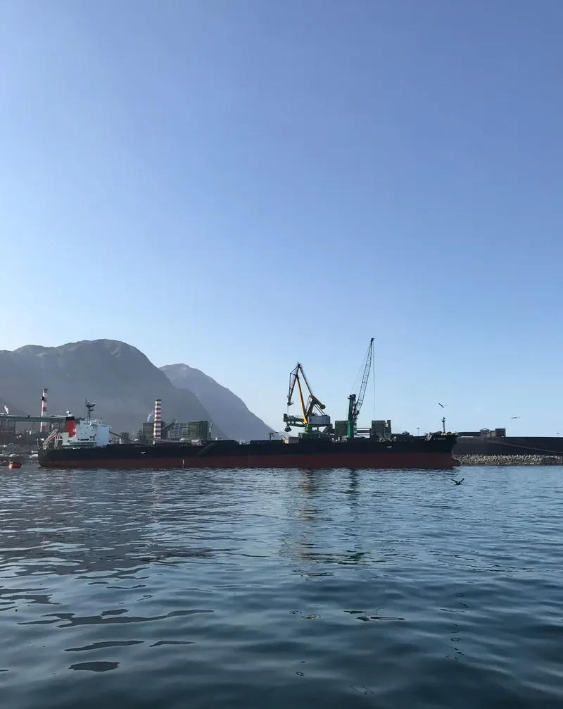 KT BIRDIE Bulk Carrier IMO 9597343 photo 4