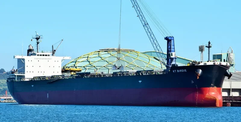 KT BIRDIE Bulk Carrier IMO 9597343 photo 6