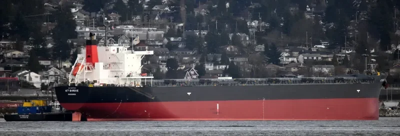 KT BIRDIE Bulk Carrier IMO 9597343 photo 10
