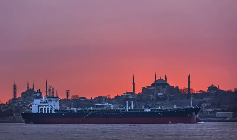 SUNNY HORIZON Bulk Carrier IMO 9597379 photo 2