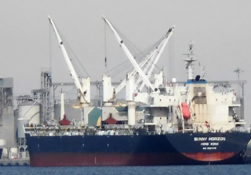 SUNNY HORIZON Bulk Carrier IMO 9597379 photo 3