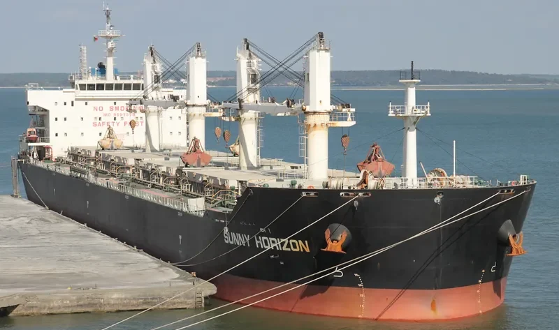 SUNNY HORIZON Bulk Carrier IMO 9597379 photo 4