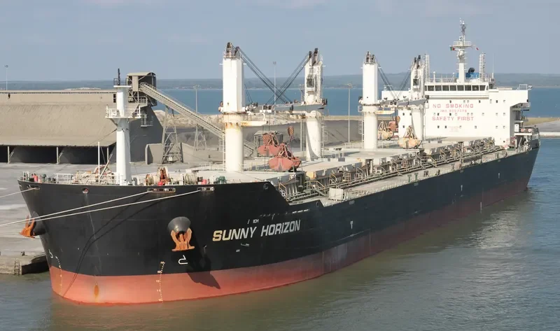 SUNNY HORIZON Bulk Carrier IMO 9597379 photo 5