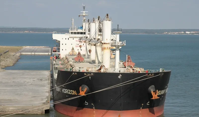 SUNNY HORIZON Bulk Carrier IMO 9597379 photo 6