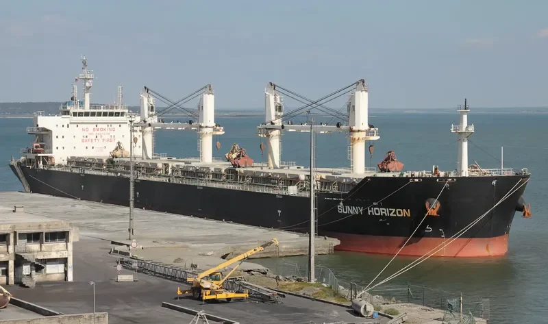 SUNNY HORIZON Bulk Carrier IMO 9597379 photo 7