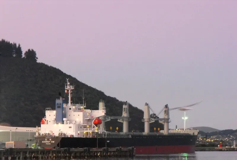 AUDREY SW Bulk Carrier IMO 9597422 photo 3