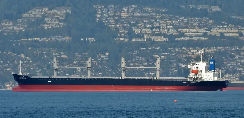 AUDREY SW Bulk Carrier IMO 9597422 photo 4