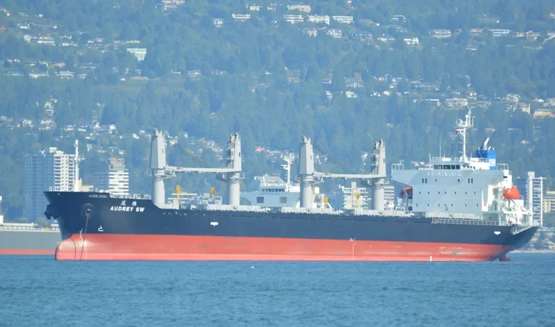 AUDREY SW Bulk Carrier IMO 9597422 photo 5