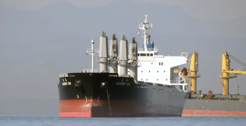 AUDREY SW Bulk Carrier IMO 9597422 photo 6
