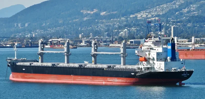 AUDREY SW Bulk Carrier IMO 9597422 photo 7