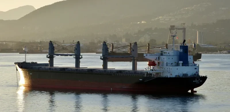 AUDREY SW Bulk Carrier IMO 9597422 photo 9