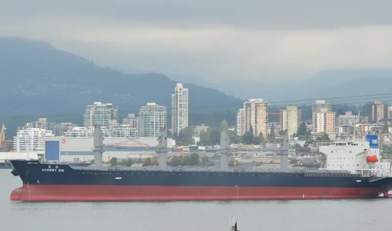AUDREY SW Bulk Carrier IMO 9597422 photo 10