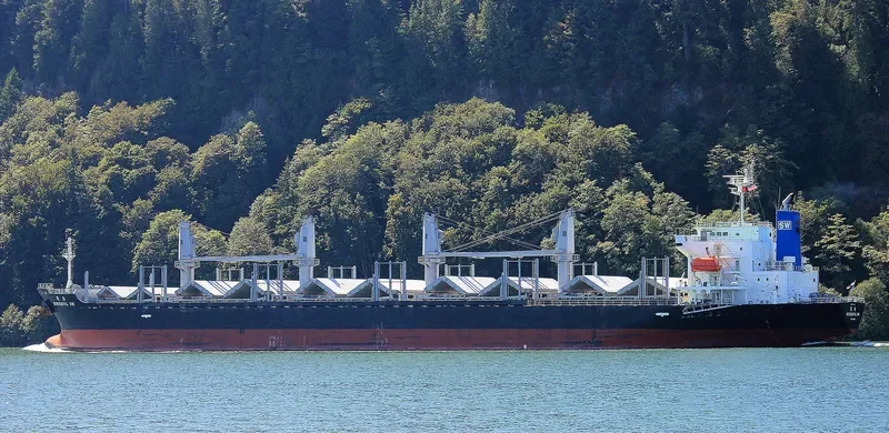 WONDERFUL SW Bulk Carrier IMO 9597434 photo 2