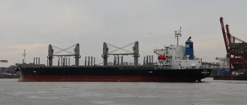 WONDERFUL SW Bulk Carrier IMO 9597434 photo 4