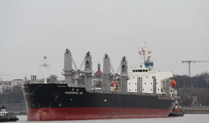 WONDERFUL SW Bulk Carrier IMO 9597434 photo 6