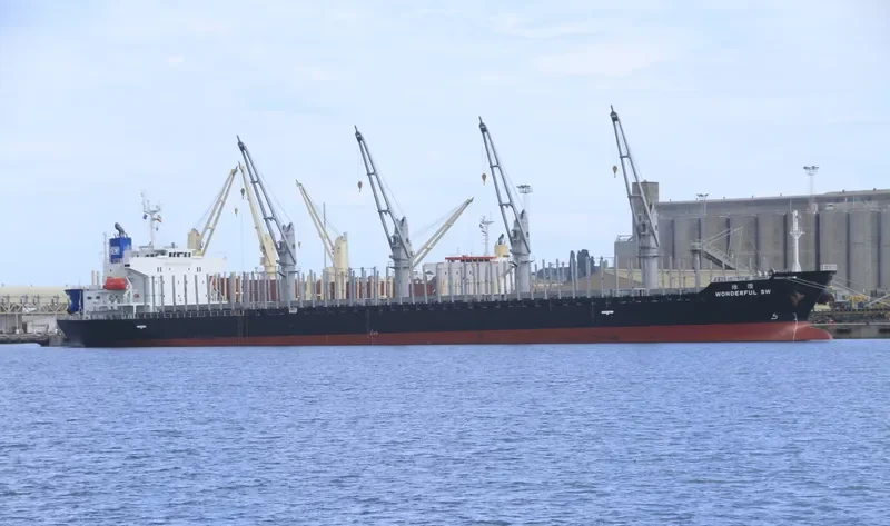 WONDERFUL SW Bulk Carrier IMO 9597434 photo 8