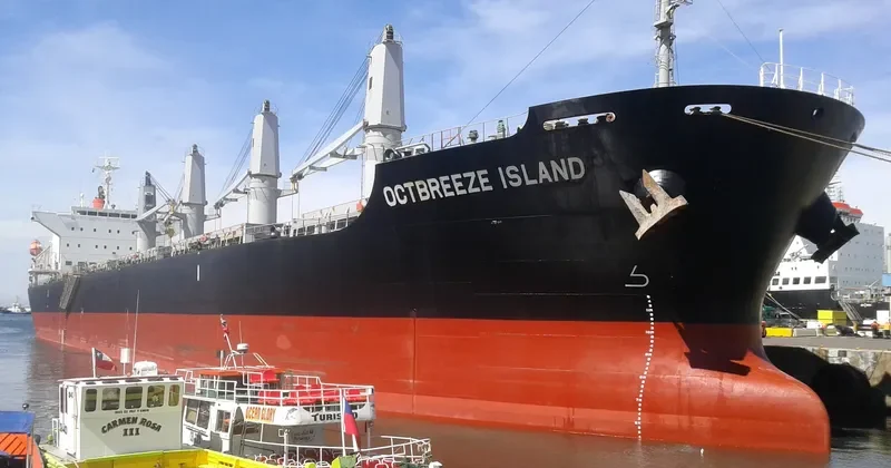 OCTBREEZE ISLAND Bulk Carrier IMO 9597587