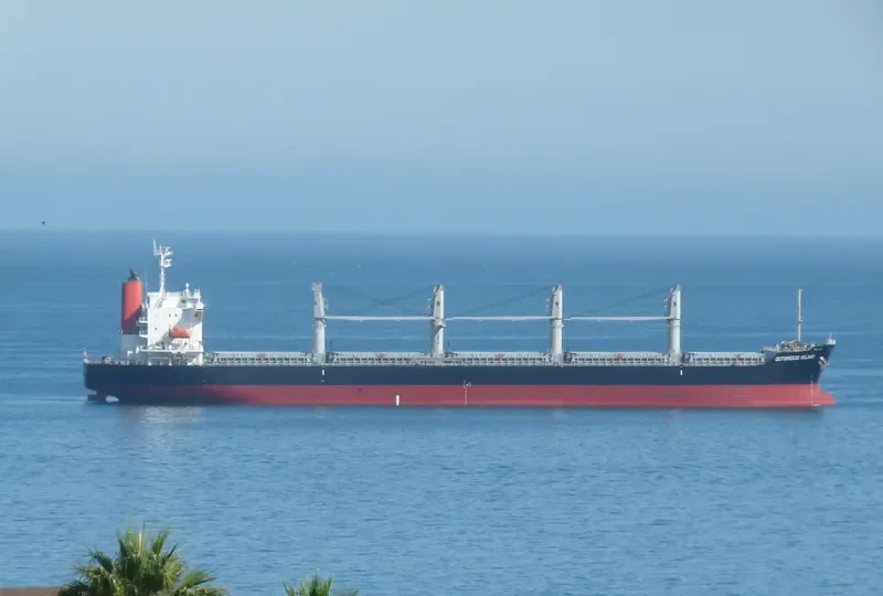 OCTBREEZE ISLAND Bulk Carrier IMO 9597587 photo 2