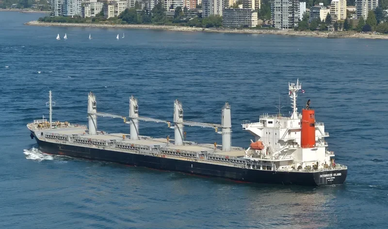 OCTBREEZE ISLAND Bulk Carrier IMO 9597587 photo 3