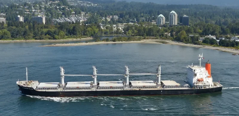 OCTBREEZE ISLAND Bulk Carrier IMO 9597587 photo 4