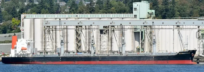 OCTBREEZE ISLAND Bulk Carrier IMO 9597587 photo 5