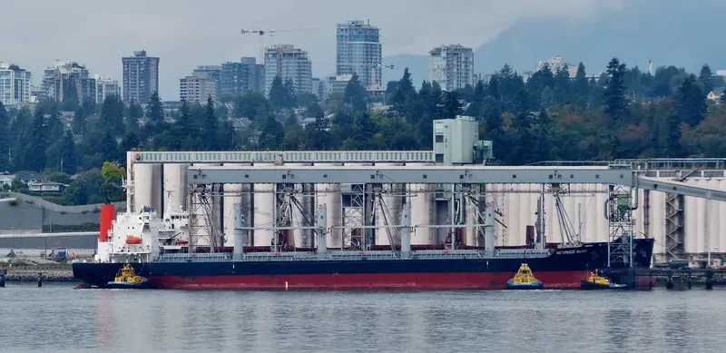 OCTBREEZE ISLAND Bulk Carrier IMO 9597587 photo 6