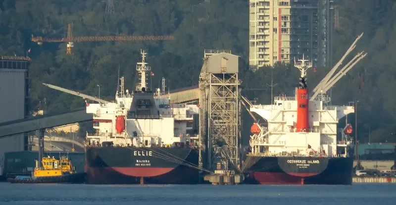 OCTBREEZE ISLAND Bulk Carrier IMO 9597587 photo 8